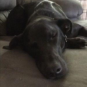 Meet your Posher, Carol